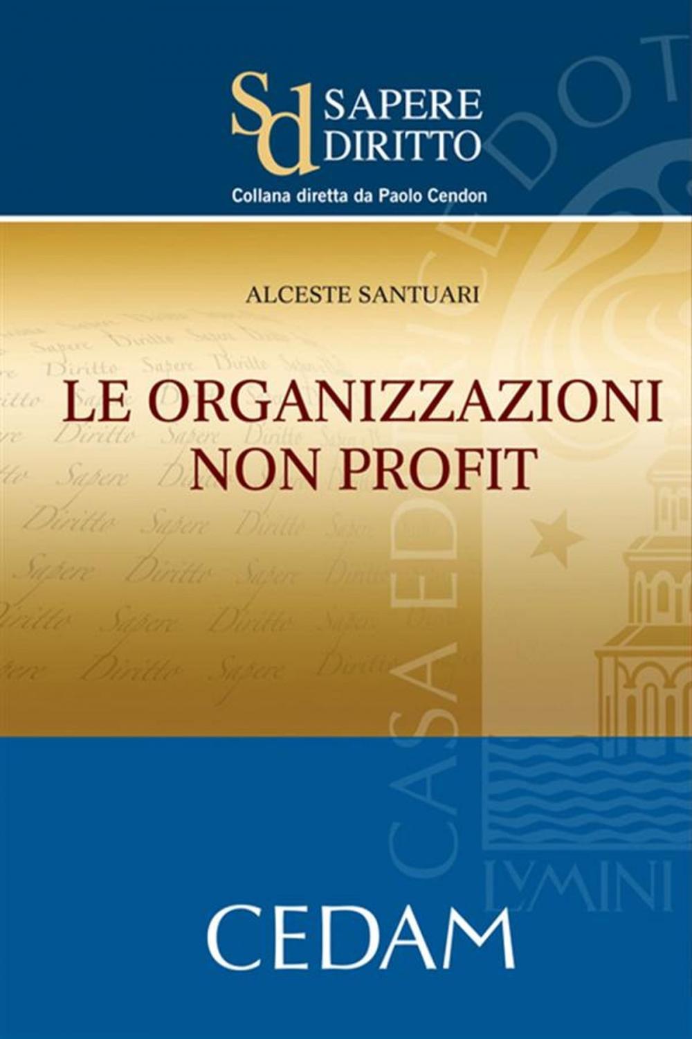 Big bigCover of Le organizzazioni non profit