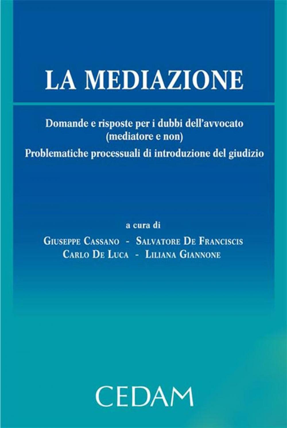 Big bigCover of La mediazione