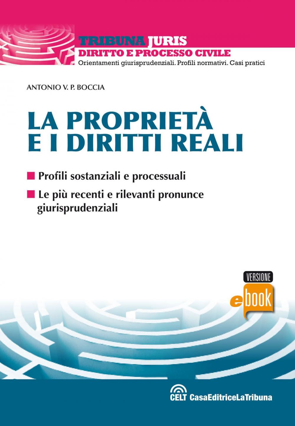 Big bigCover of La proprietà e i diritti reali