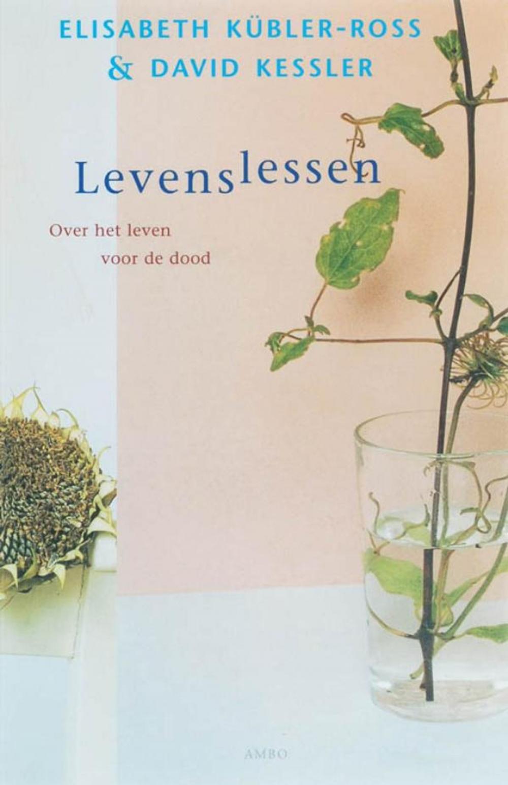 Big bigCover of levenslessen