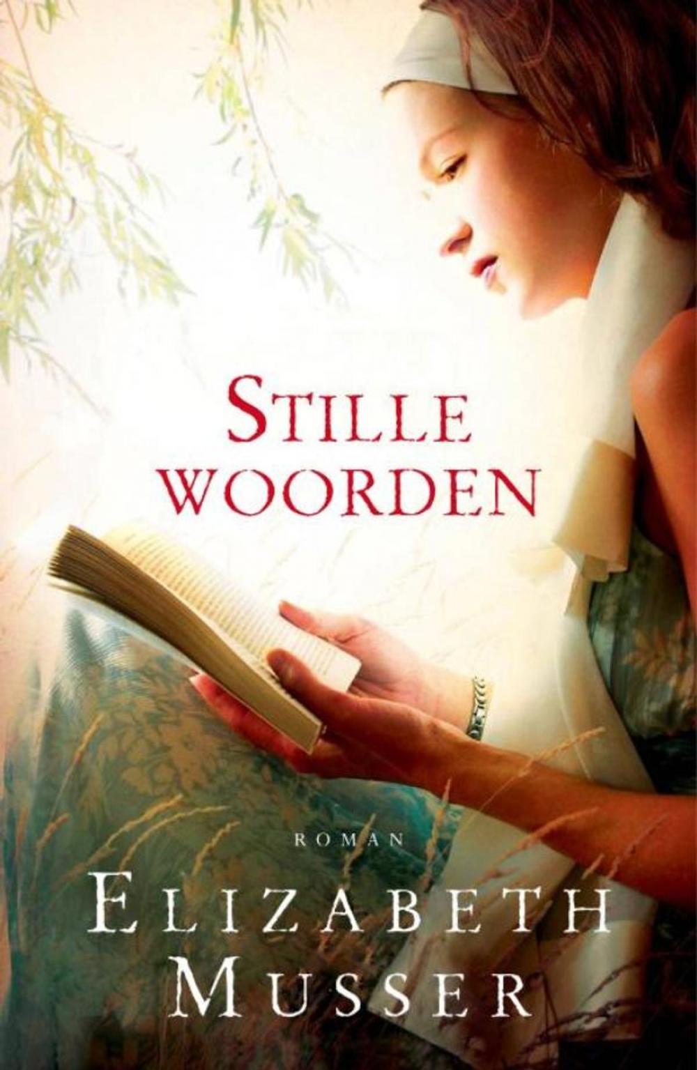 Big bigCover of Stille woorden