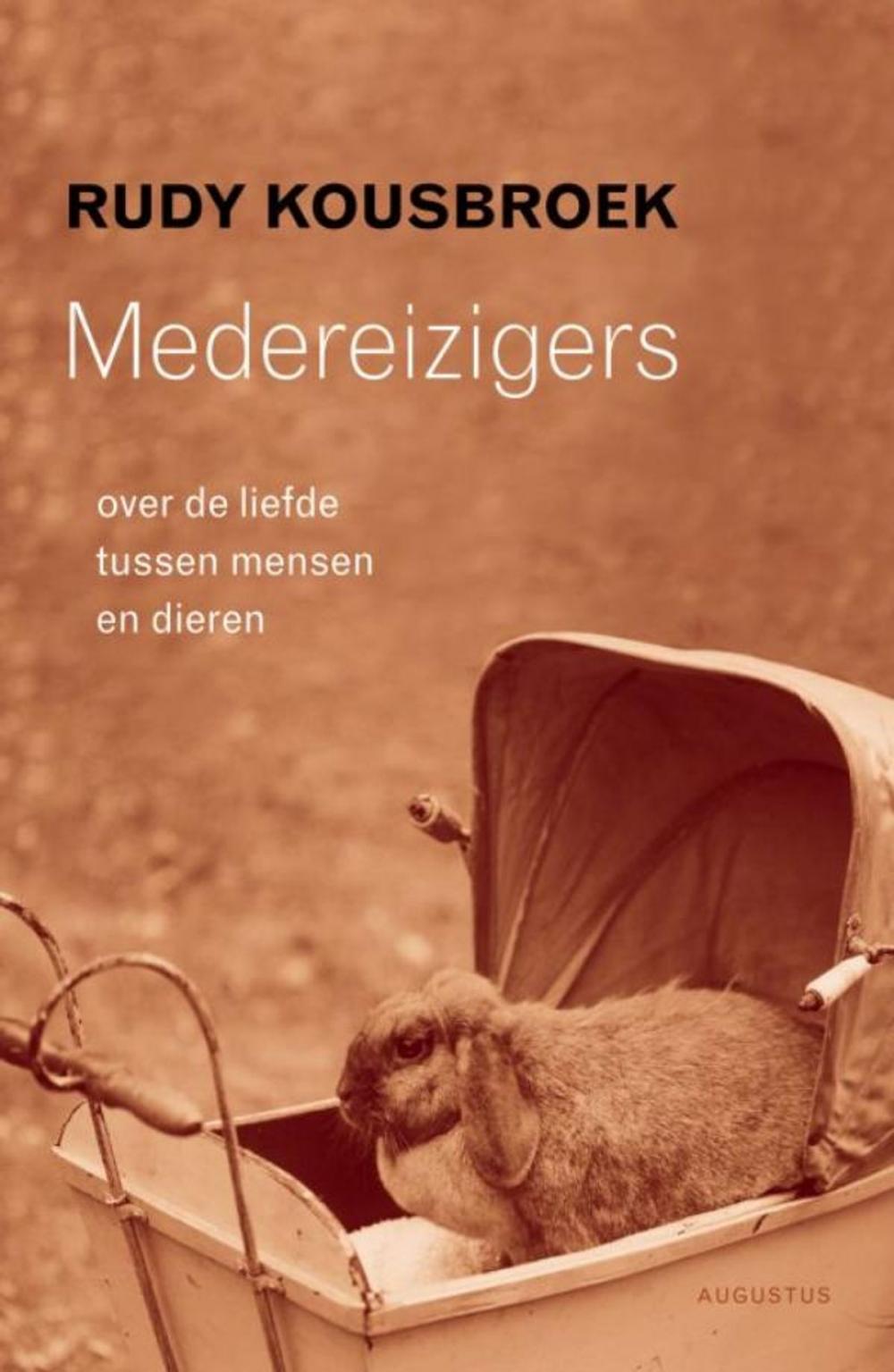 Big bigCover of Medereizigers