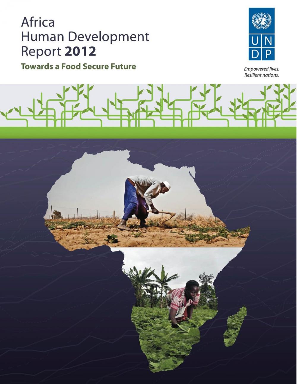 Big bigCover of Africa Human Development Report 2012