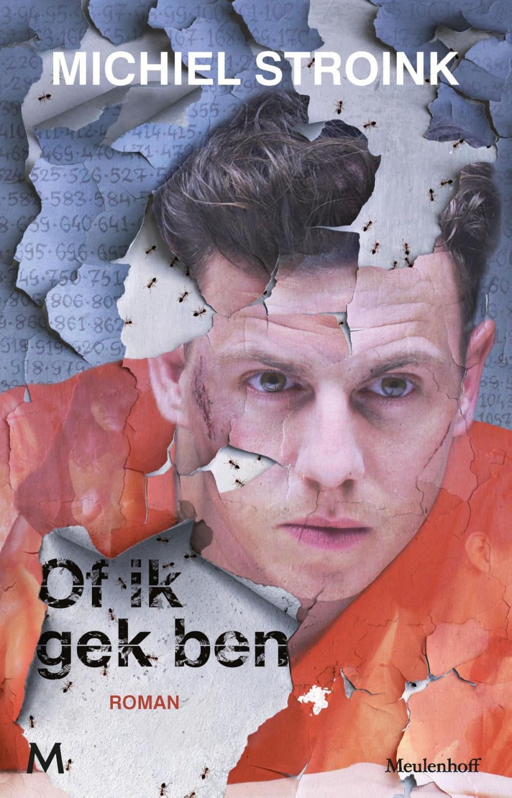 Big bigCover of Of ik gek ben