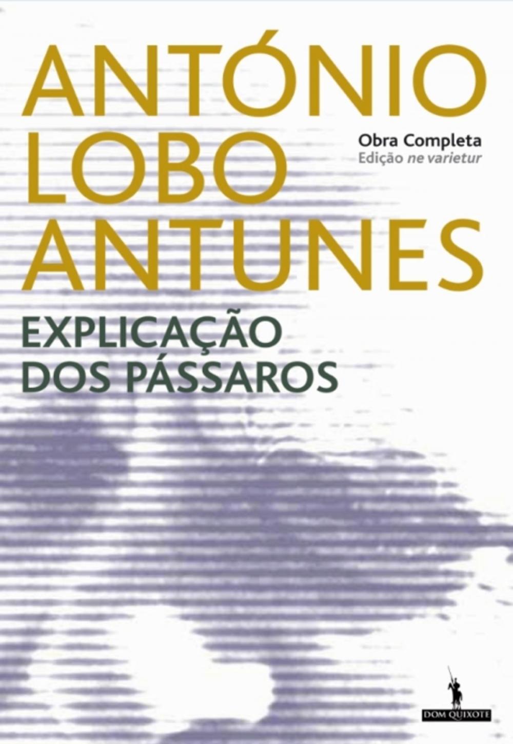 Big bigCover of Explicação dos Pássaros