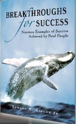 Cover of the book Breakthroughs for Success by 
