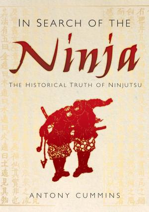 Cover of the book In Search of the Ninja by Mike Brooke RAF