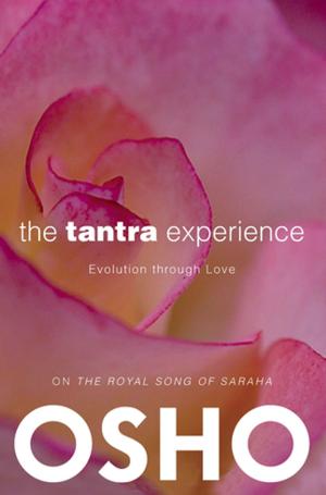 Cover of the book The Tantra Experience by Omnec Onec