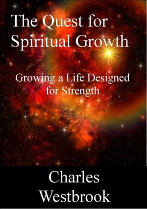 bigCover of the book The Quest for Spiritual Growth by 