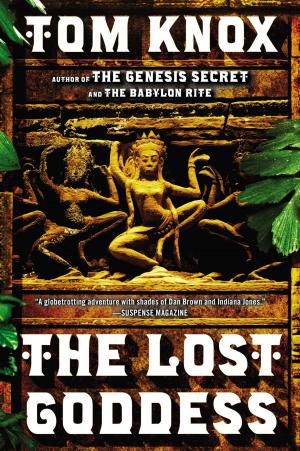 Cover of the book The Lost Goddess by Elizabeth Cooke