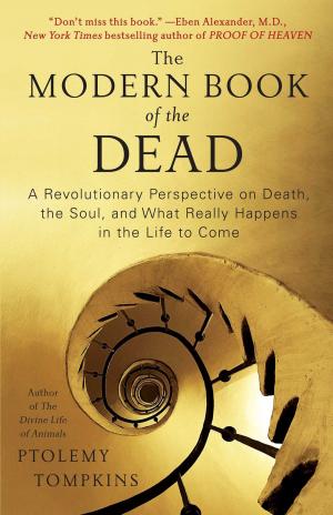 Book cover of The Modern Book of the Dead