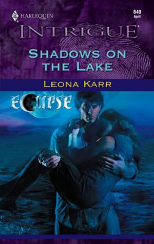 bigCover of the book Shadows on the Lake by 