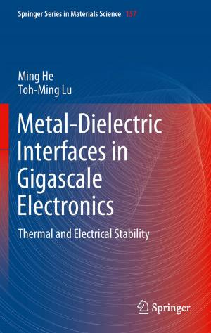 Cover of the book Metal-Dielectric Interfaces in Gigascale Electronics by John S. Rinehart