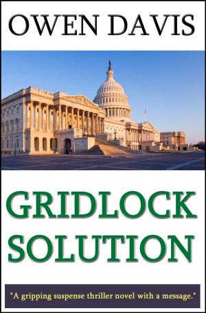 Cover of the book Gridlock Solution by Marc Olden