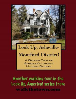 Cover of the book Look Up, Asheville! A Walking Tour of the Montford District by Doug Gelbert