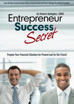 Cover of the book Entrepreneur Success Secret by Elena Goldberg