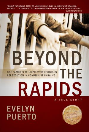 Cover of Beyond the Rapids