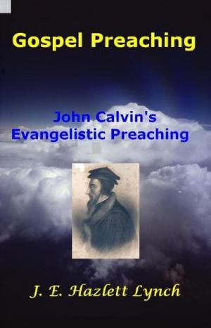 bigCover of the book Gospel Preaching: John Calvin by 
