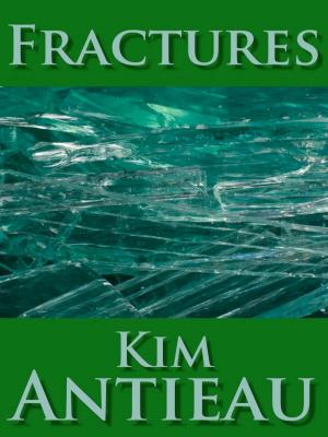 Cover of the book Fractures by Mark Johnson