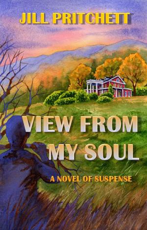 Cover of View From My Soul