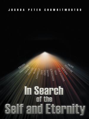 Cover of the book In Search of the Self and Eternity by Larry Munger