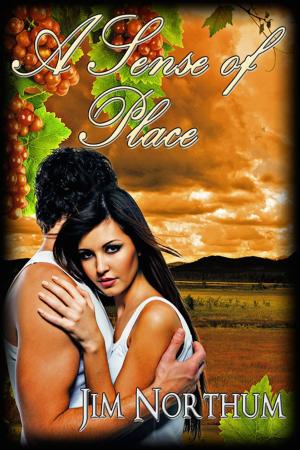 Cover of the book A Sense of Place by T. S. Walker