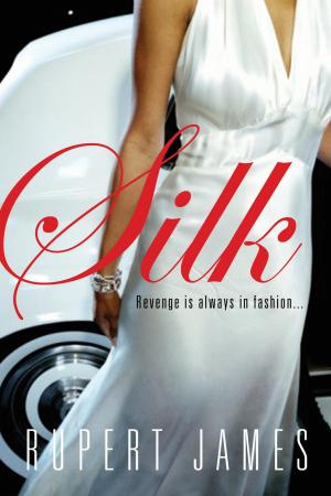Cover of the book Silk by Alex Algren