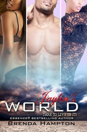Cover of the book Jaylin's World by Brandi Johnson