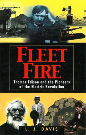 Cover of the book Fleet Fire by Ronald Bergan