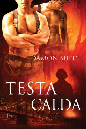 Cover of the book Testa Calda by A. R. Barley