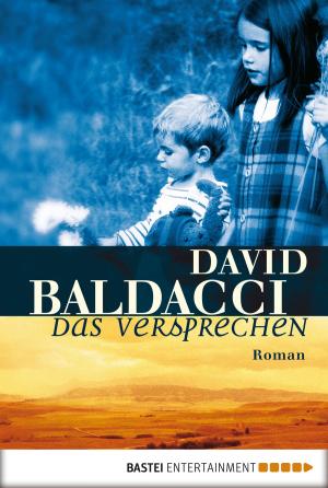 Cover of the book Das Versprechen by Andreas Kufsteiner