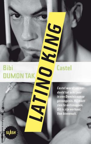 Cover of the book Latino king by Theun de Vries