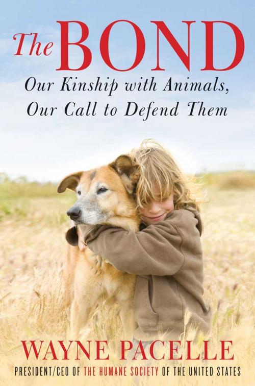 Cover of the book The Bond: An Excerpt with Fifty Ways to Help Animals by Wayne Pacelle, HarperCollins e-books