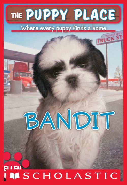 Cover of the book The Puppy Place #24: Bandit by Ellen Miles, Scholastic Inc.