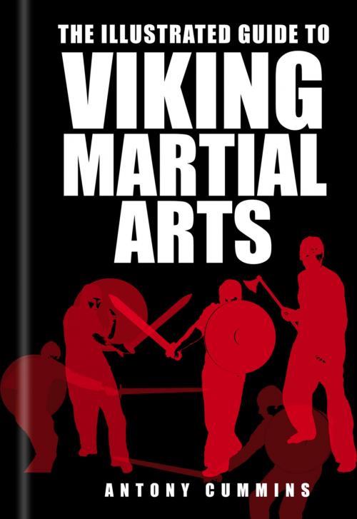 Cover of the book Illustrated Guide to Viking Martial Arts by Antony Cummins, The History Press