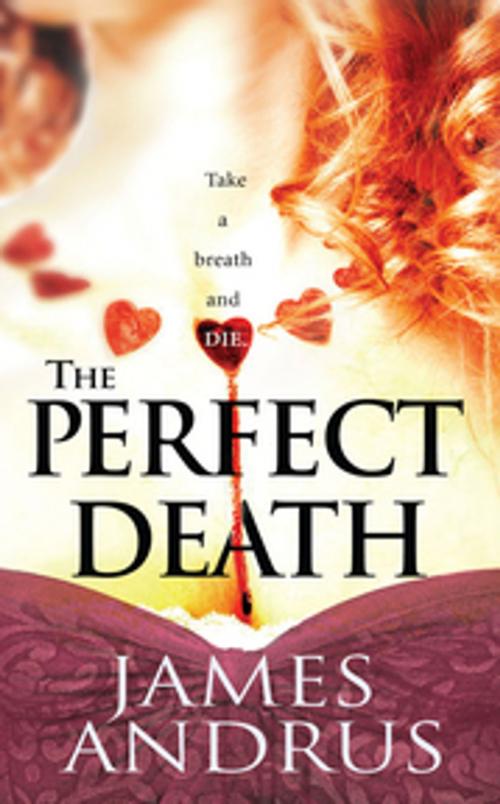 Cover of the book The Perfect Death by James Andrus, Pinnacle Books