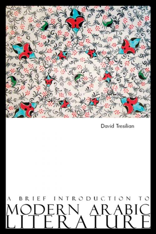Cover of the book A Brief Introduction to Modern Arabic Literature by David Tresilian, Saqi