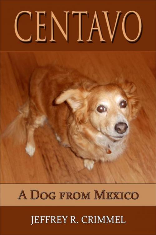 Cover of the book Centavo; A Dog From Mexico by Jeffrey Crimmel, Jeffrey Crimmel