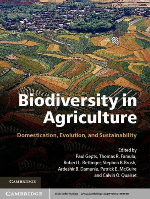 Cover of the book Biodiversity in Agriculture by , Cambridge University Press