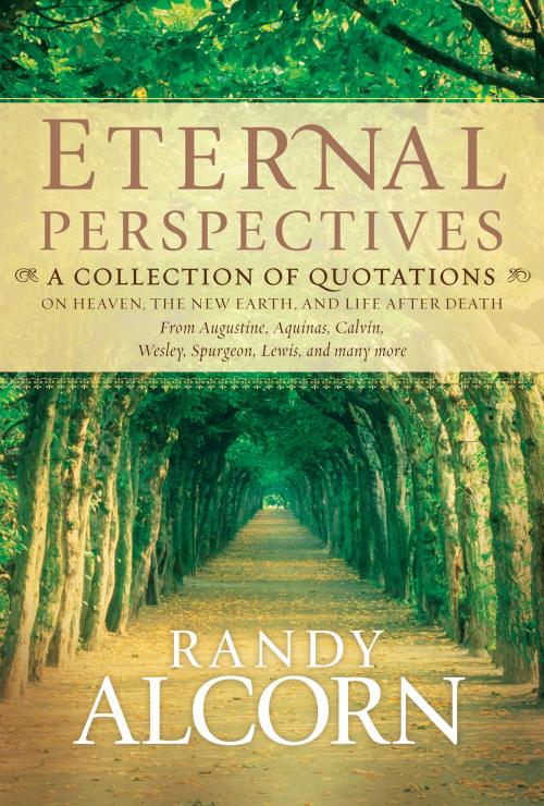 Cover of the book Eternal Perspectives by Randy Alcorn, Tyndale House Publishers, Inc.