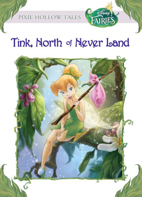 Cover of the book Disney Fairies: Tink, North of Never Land by Kiki Thorpe, Disney Book Group