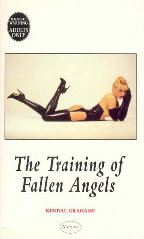 Cover of the book The Training Of Fallen Angels by Kendal Grahame, Ebury Publishing