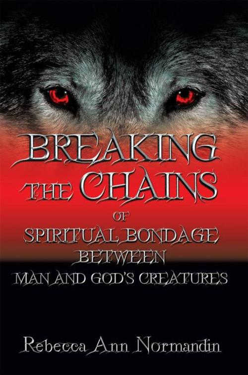 Cover of the book Breaking the Chains by Rebecca Ann Normandin, WestBow Press