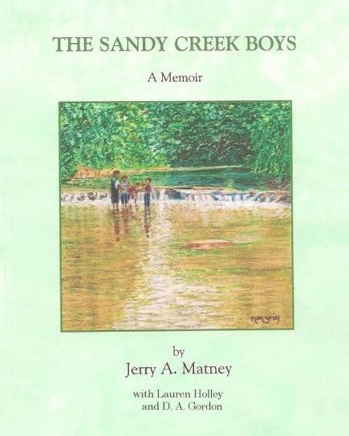 Cover of the book The Sandy Creek Boys by Jerry A Matney, Jerry A Matney