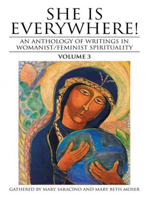 Cover of the book She Is Everywhere! Volume 3 by Mary Beth Moser, Mary Saracino, iUniverse