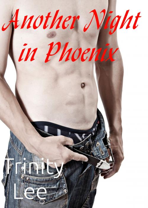 Cover of the book Another Night in Phoenix by Trinity Lee, Trinity Lee