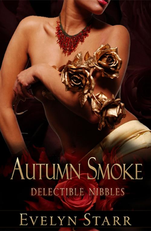 Cover of the book Autumn Smoke by Evelyn Starr, eXtasy Books Inc