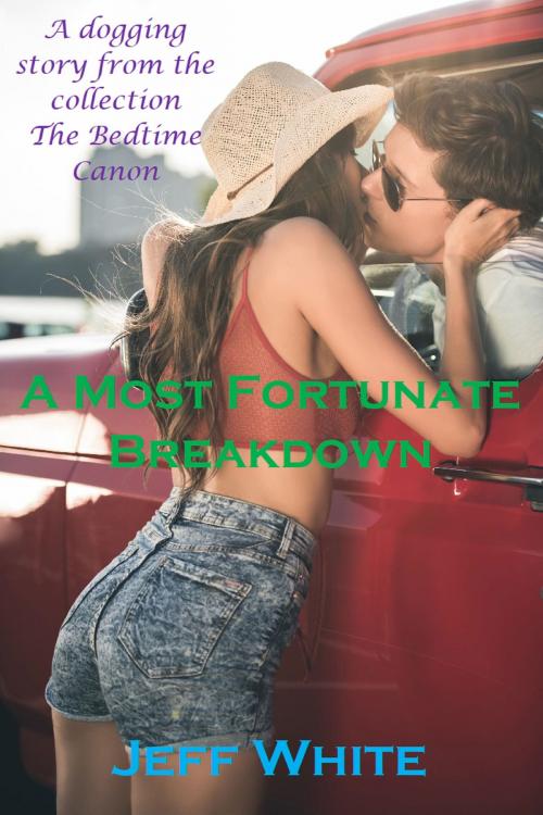 Cover of the book A Most Fortunate Breakdown by Jeff White, Jeff White