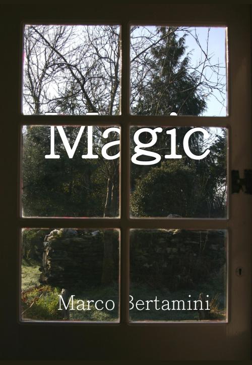 Cover of the book Magic by Marco Bertamini, Marco Bertamini