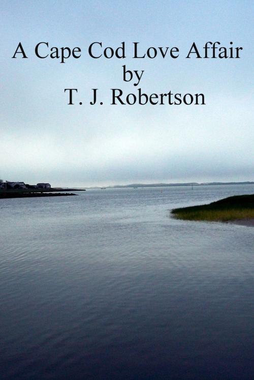 Cover of the book A Cape Cod Love Affair by T. J. Robertson, T. J. Robertson